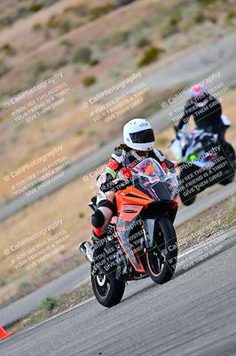 media/Apr-26-2025-2WTD (Sat) [[797c348bd3]]/C Group/240pm/